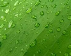 齐达内过人视频（踢足球如何过人）