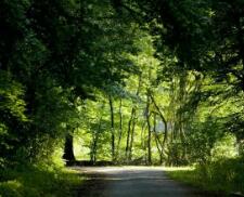 欧洲杯冠军能直接进世界杯吗（为什么欧洲杯冠军球队人员踢世界杯会有限制）